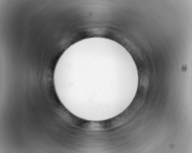 X0000103170518200809192120