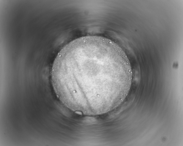 X0000103170519200809192120