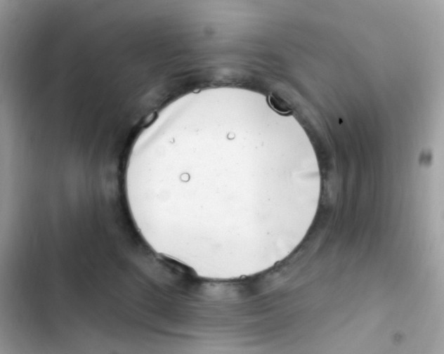 X0000103170520200809192120