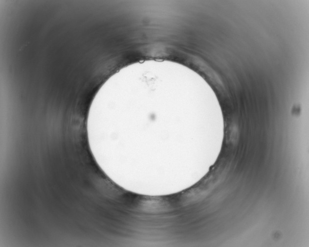 X0000103170521200809192120