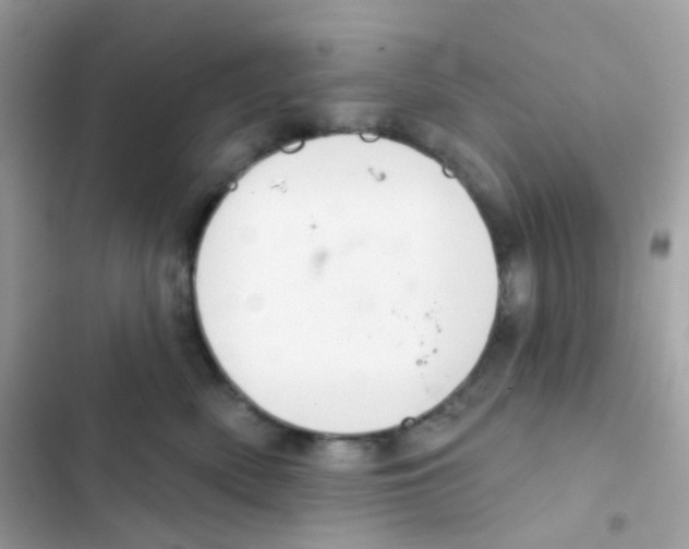 X0000103170522200809192120