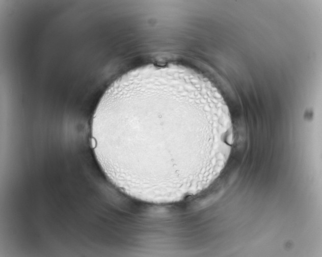 X0000103170523200809192120