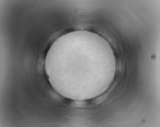 X0000103170526200809192119