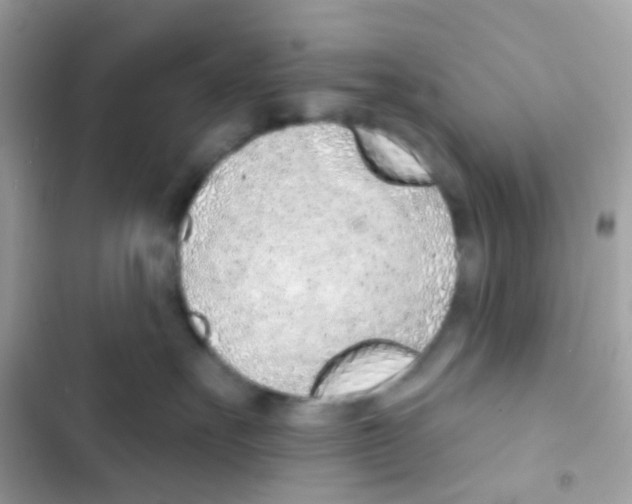 X0000103170527200809192119