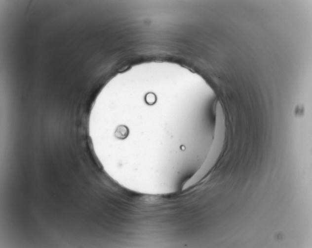 X0000103170528200809192119