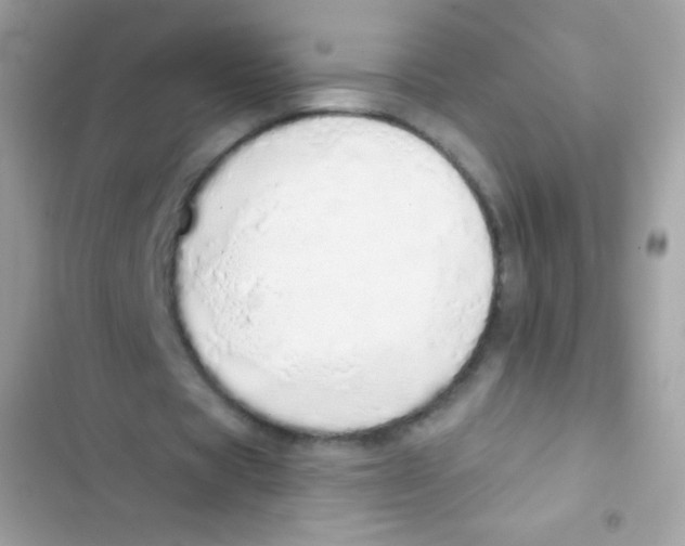 X0000103170529200809192119