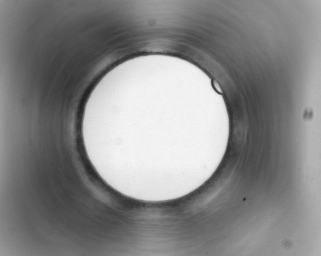 X0000103170530200809192119