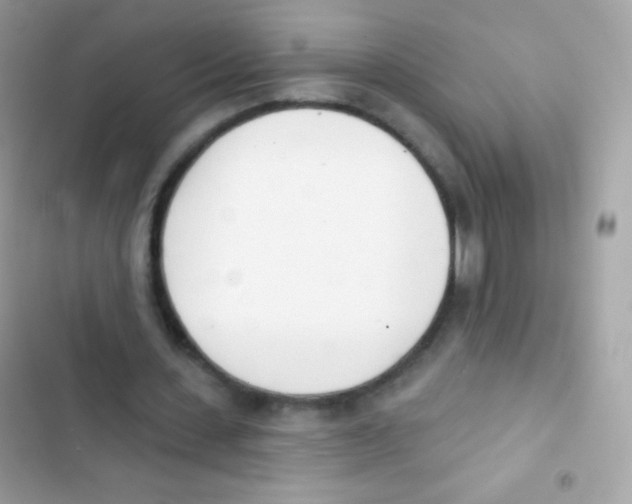 X0000103170531200809192119