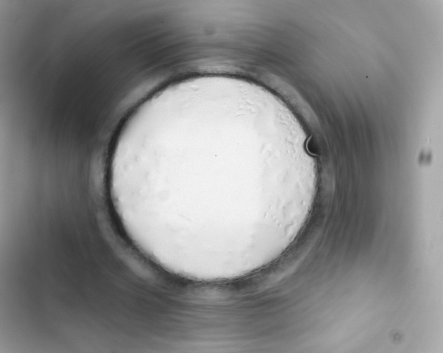 X0000103170533200809192119