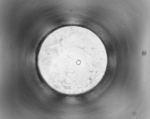 X0000103170534200809192119