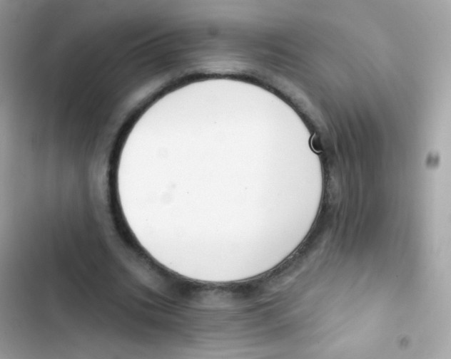 X0000103170535200809192119