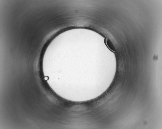 X0000103170536200809192119