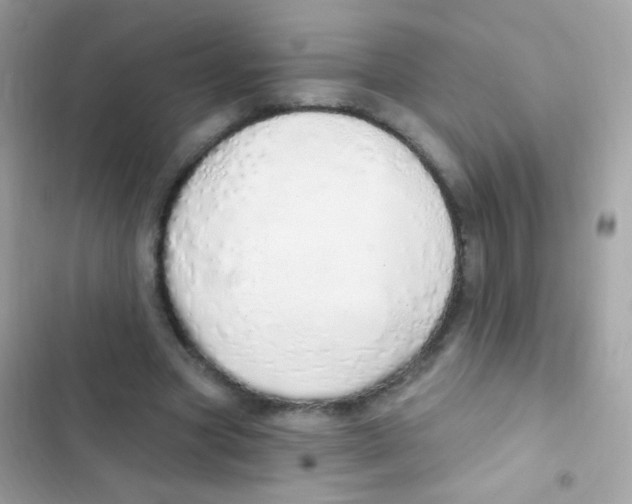 X0000103170537200809192119