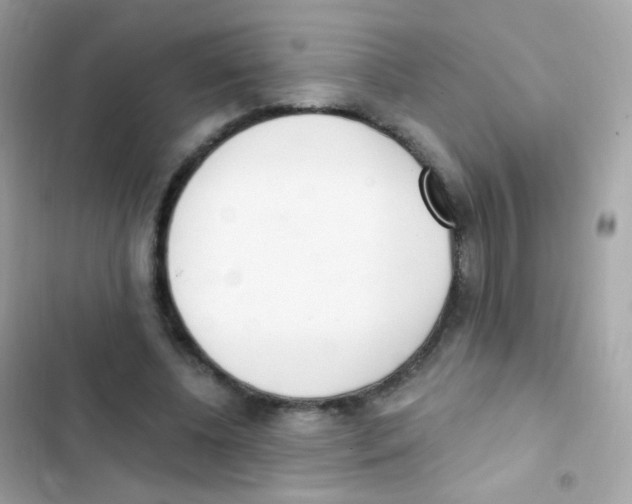 X0000103170540200809192119