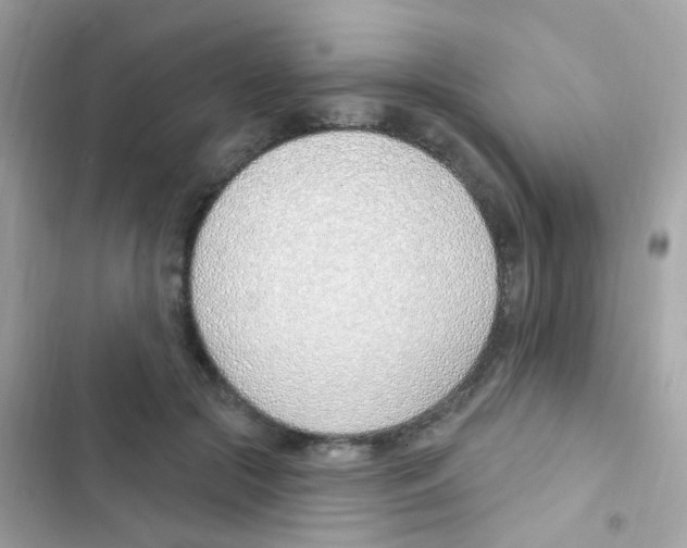 X0000103170553200809192119