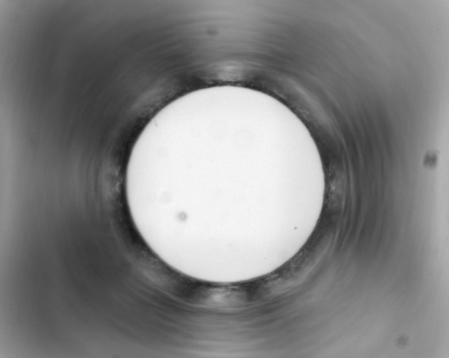 X0000103170555200809192119