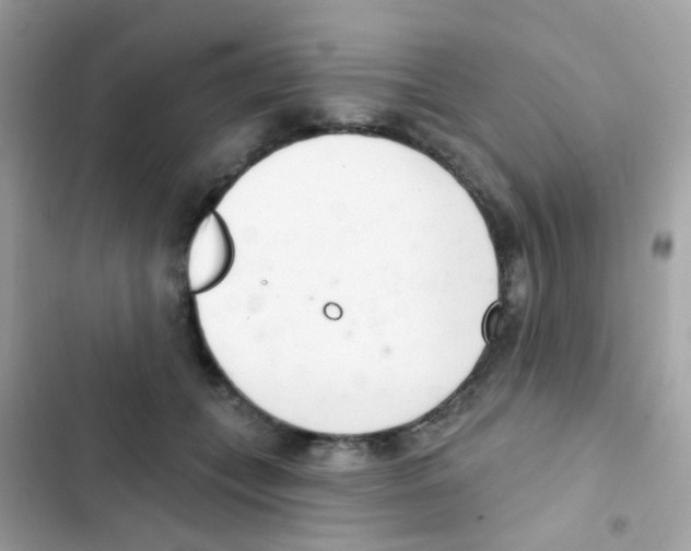 X0000103170559200809192119