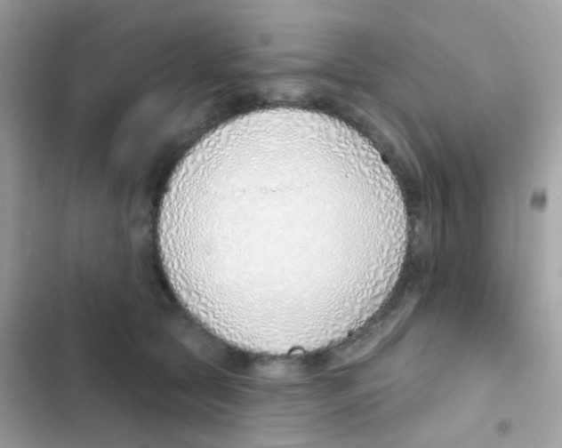 X0000103170561200809192119