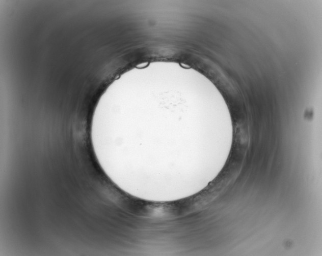 X0000103170564200809192119