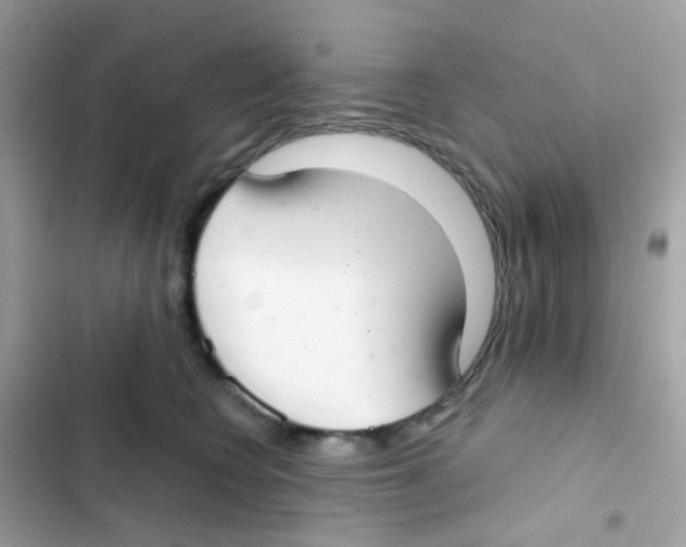 X0000103170566200809192119