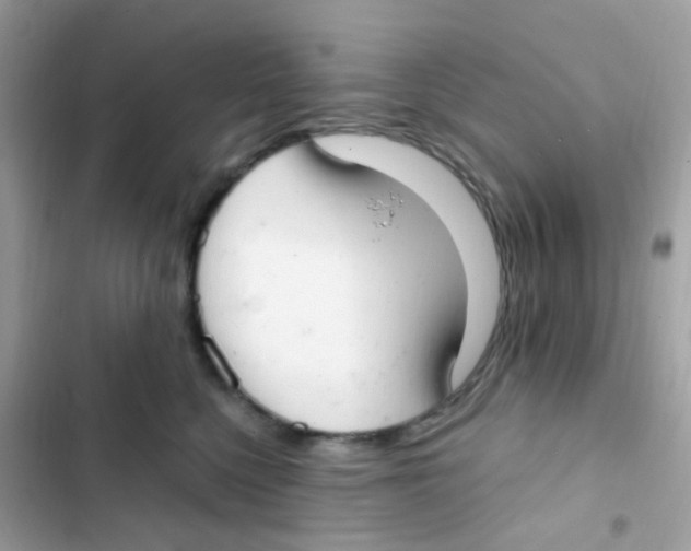 X0000103170568200809192119