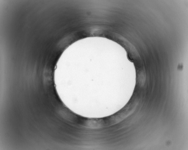 X0000103170571200809192119