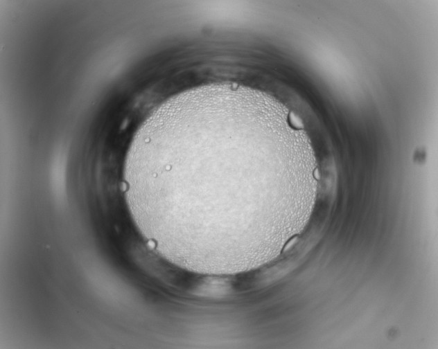 X0000103170573200809192119