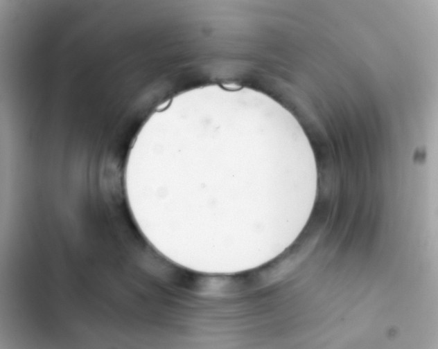 X0000103170575200809192119