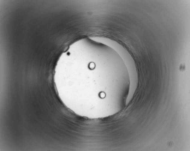 X0000103170576200809192119