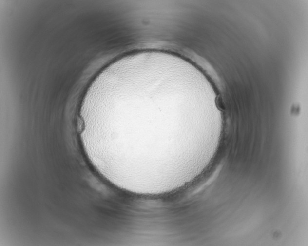 X0000103170577200809192119