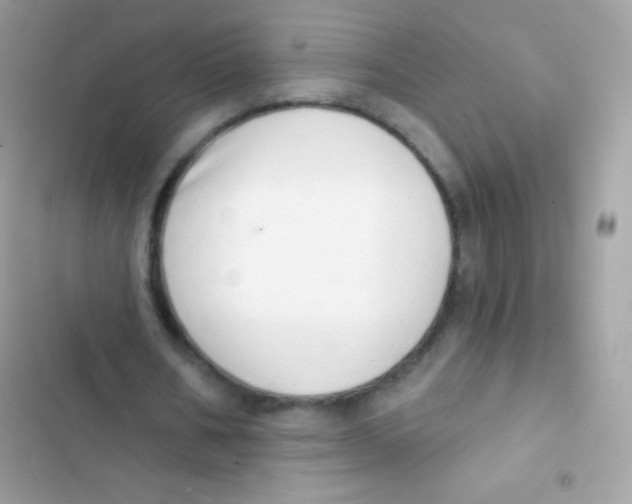 X0000103170578200809192119