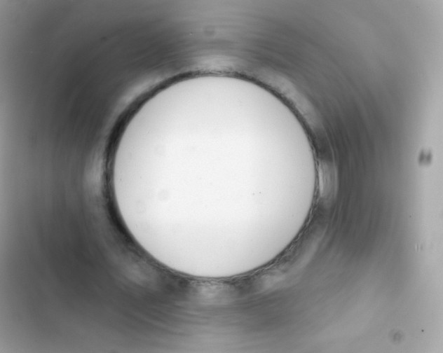 X0000103170579200809192119