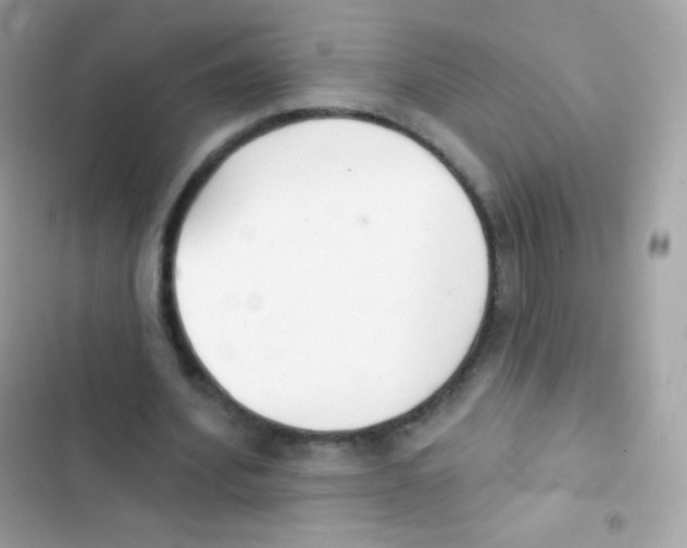 X0000103170580200809192119