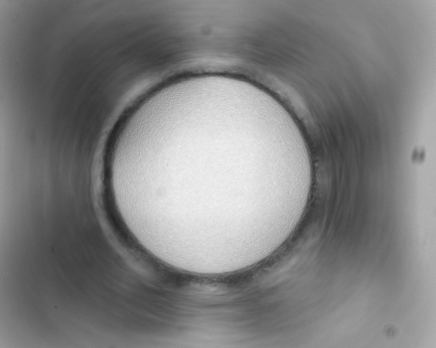 X0000103170582200809192119