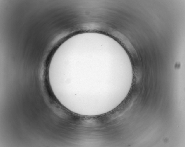 X0000103170583200809192119