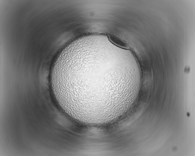 X0000103170585200809192119