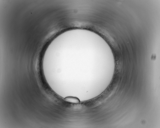 X0000103170587200809192119