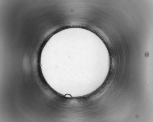 X0000103170588200809192119