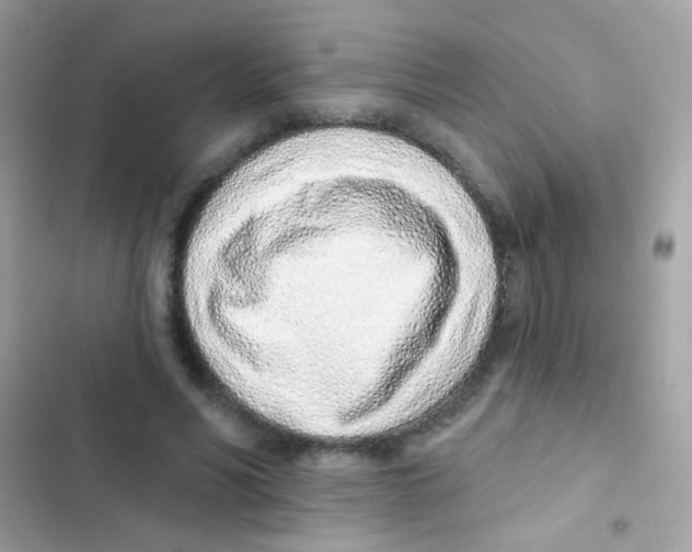 X0000103170590200809192119