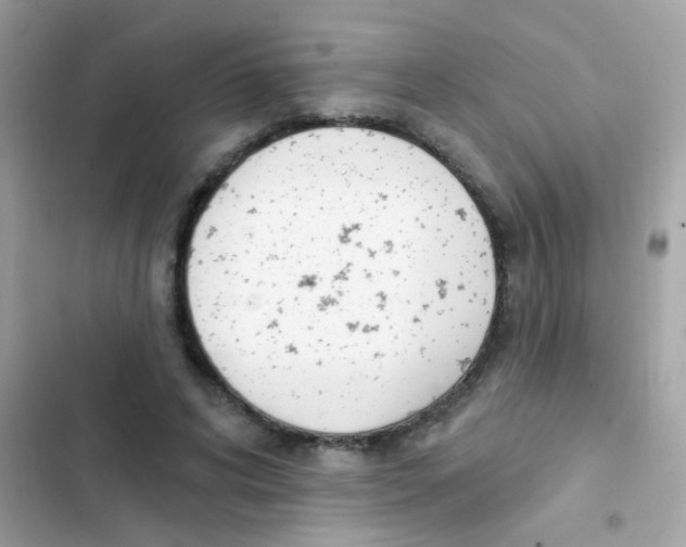 X0000103170592200809192119