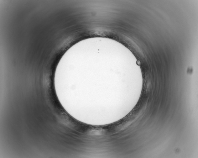 X0000103170595200809192119