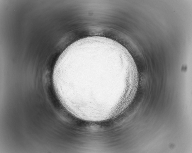 X0000103170598200809192118