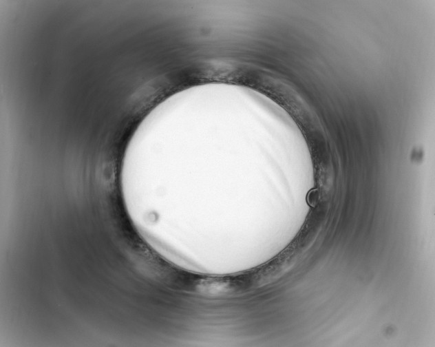 X0000103170602200809192118