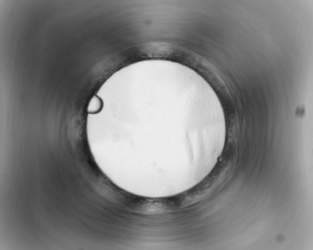 X0000103170604200809192118