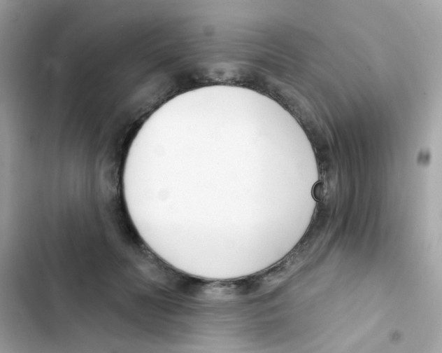 X0000103170606200809192118