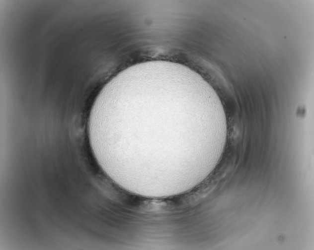 X0000103170607200809192118