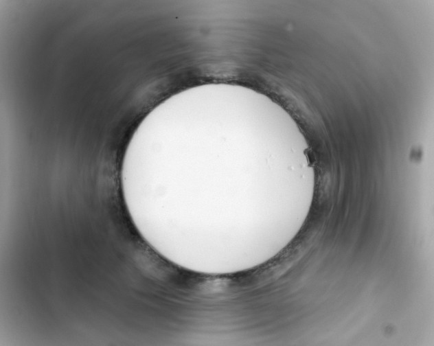 X0000103170609200809192118