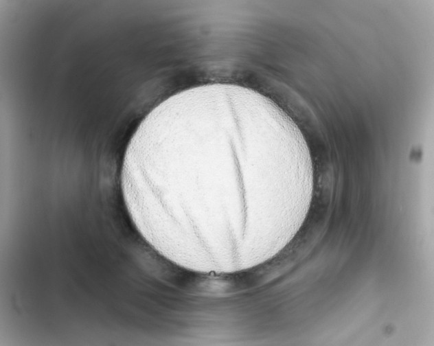 X0000103170610200809192118