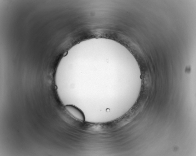 X0000103170611200809192118