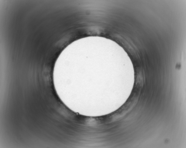 X0000103170616200809192118